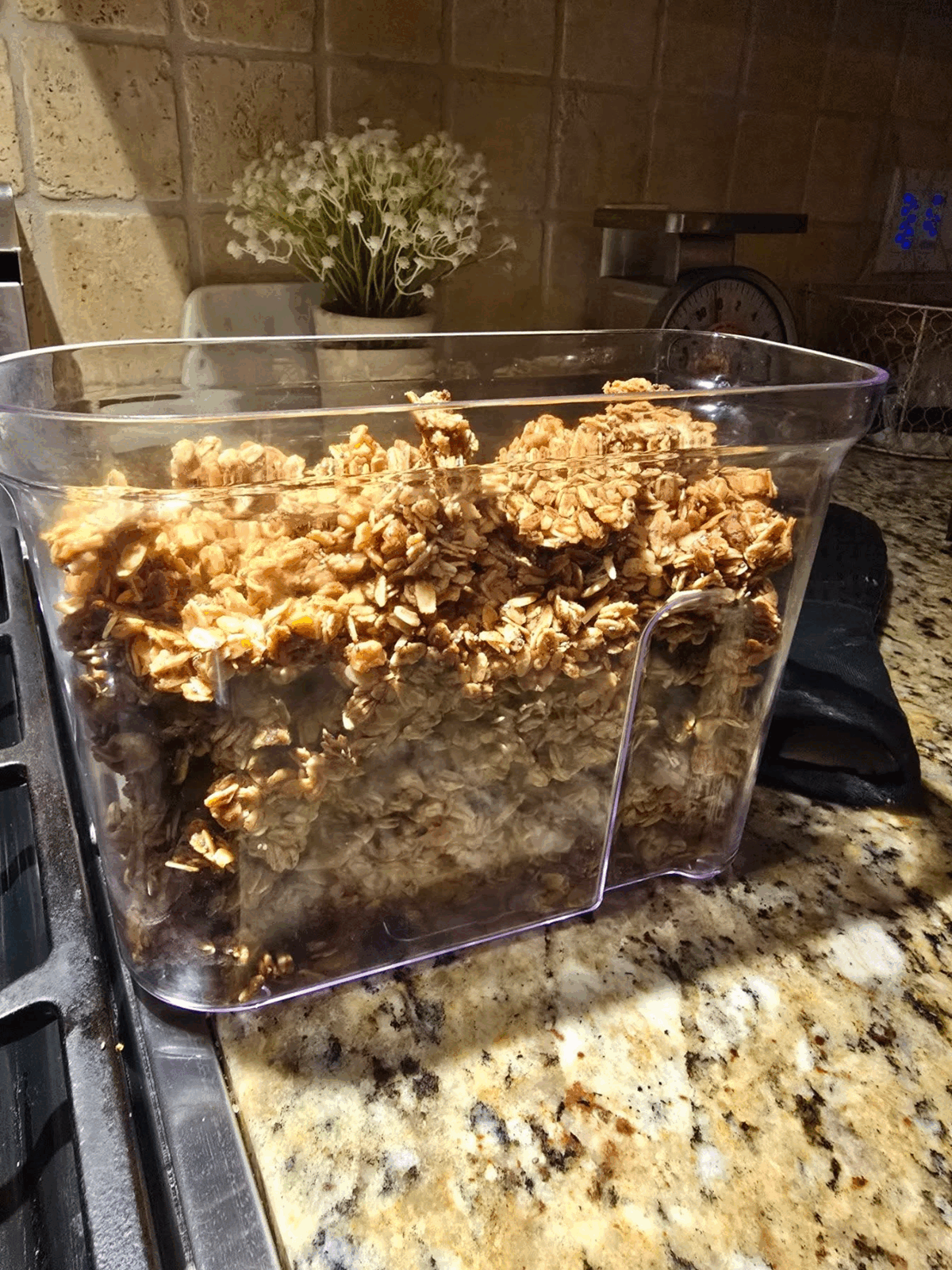 Ultimate Endurance Fuel: Easy Peanut Butter, Cinnamon, Honey Granola Recipe (Full Fat) - Photo 4
